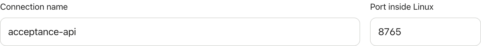 Connection settings with separate fields for the connection name and the port inside Linux.
